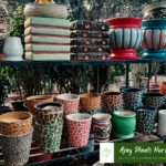 POTS1